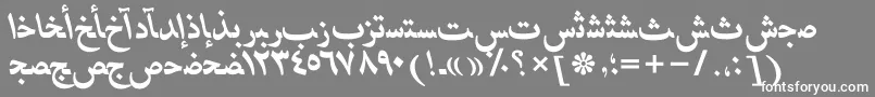 HafizarabicttBolditalic Font – White Fonts on Gray Background