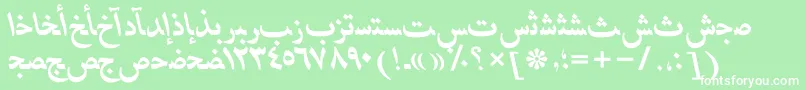 HafizarabicttBolditalic Font – White Fonts on Green Background