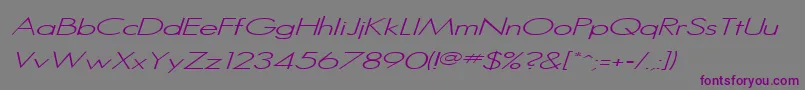 SansserifItalic Font – Purple Fonts on Gray Background