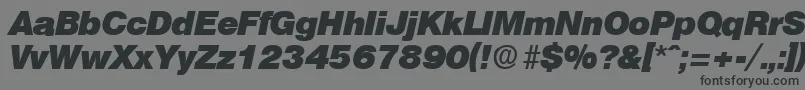 OlympiaHeavyita Font – Black Fonts on Gray Background