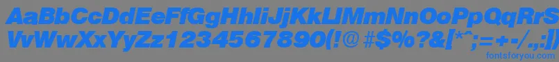 OlympiaHeavyita Font – Blue Fonts on Gray Background