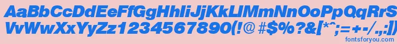 OlympiaHeavyita Font – Blue Fonts on Pink Background