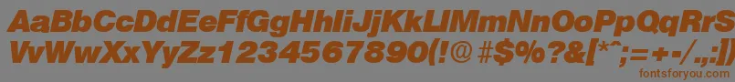 OlympiaHeavyita Font – Brown Fonts on Gray Background