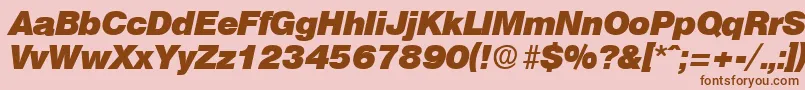 OlympiaHeavyita Font – Brown Fonts on Pink Background
