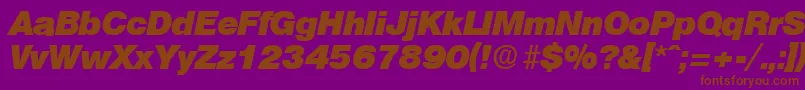 OlympiaHeavyita Font – Brown Fonts on Purple Background