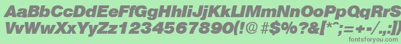 OlympiaHeavyita Font – Gray Fonts on Green Background