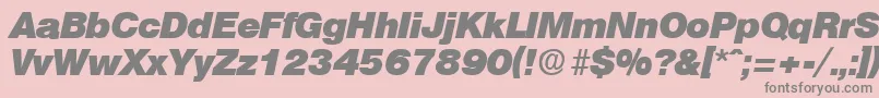 OlympiaHeavyita Font – Gray Fonts on Pink Background