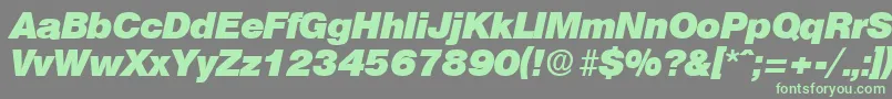 OlympiaHeavyita Font – Green Fonts on Gray Background