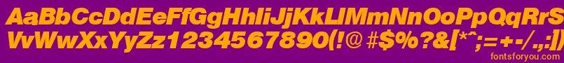 OlympiaHeavyita Font – Orange Fonts on Purple Background
