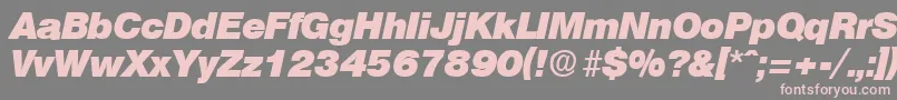 OlympiaHeavyita Font – Pink Fonts on Gray Background
