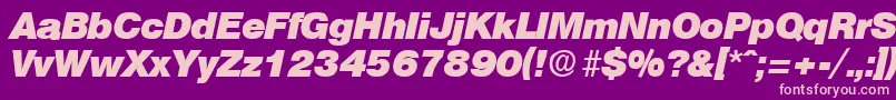 OlympiaHeavyita Font – Pink Fonts on Purple Background