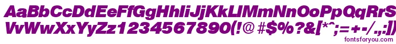 OlympiaHeavyita Font – Purple Fonts on White Background