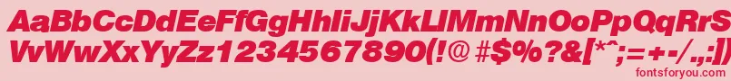 OlympiaHeavyita Font – Red Fonts on Pink Background