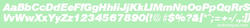 OlympiaHeavyita Font – White Fonts on Green Background