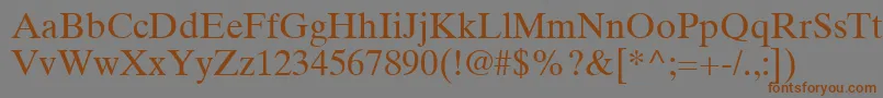 TimesTenLtRoman Font – Brown Fonts on Gray Background