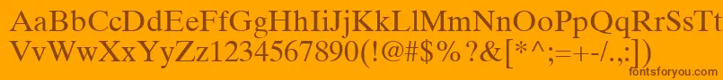 TimesTenLtRoman Font – Brown Fonts on Orange Background