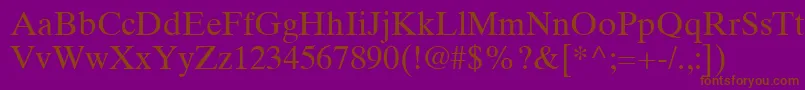 Шрифт TimesTenLtRoman – коричневые шрифты на фиолетовом фоне