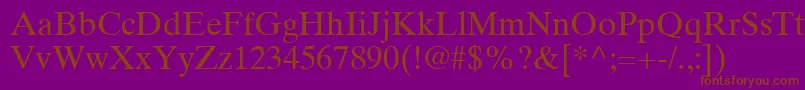 TimesTenLtRoman Font – Brown Fonts on Purple Background