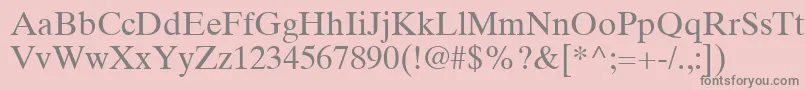 TimesTenLtRoman Font – Gray Fonts on Pink Background