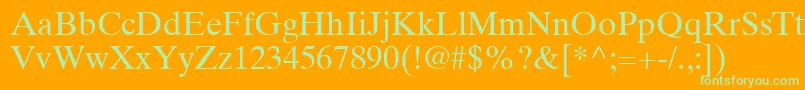 TimesTenLtRoman Font – Green Fonts on Orange Background