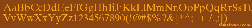 TimesTenLtRoman Font – Orange Fonts on Brown Background