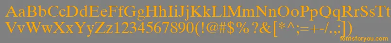TimesTenLtRoman Font – Orange Fonts on Gray Background