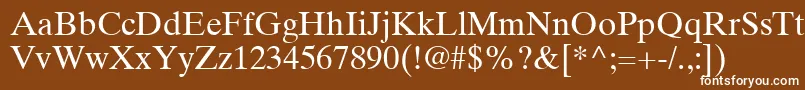 TimesTenLtRoman Font – White Fonts on Brown Background