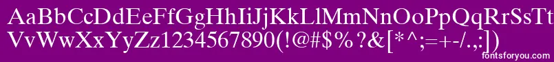フォントTimesTenLtRoman – 紫の背景に白い文字