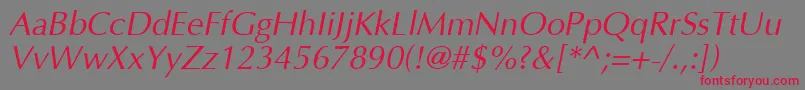 OptimaCyrItalic Font – Red Fonts on Gray Background
