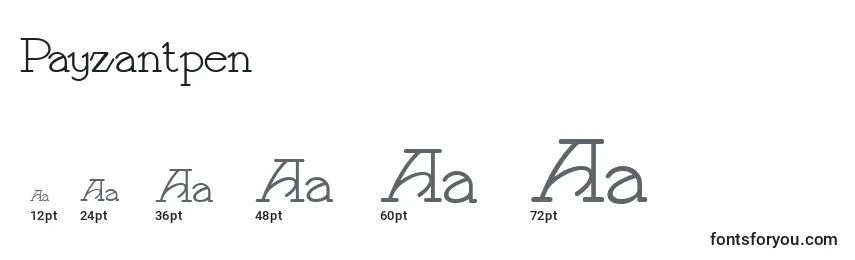 Размеры шрифта Payzantpen