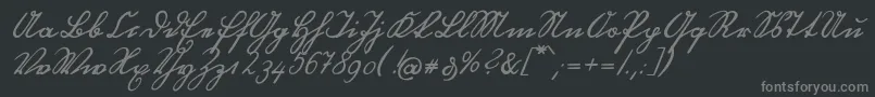 フォントOttilieU1ay – 黒い背景に灰色の文字