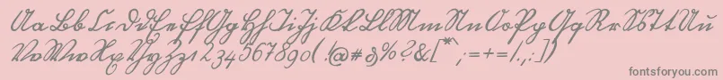 フォントOttilieU1ay – ピンクの背景に灰色の文字