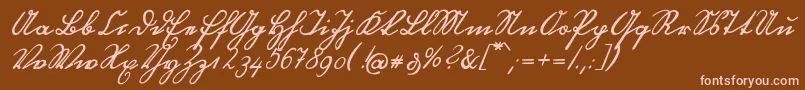 OttilieU1ay Font – Pink Fonts on Brown Background
