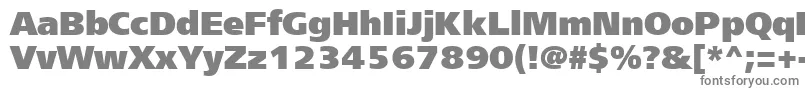 フォントFreesetextractt – 白い背景に灰色の文字