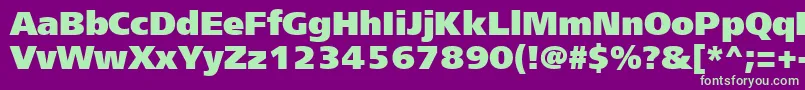 Freesetextractt Font – Green Fonts on Purple Background