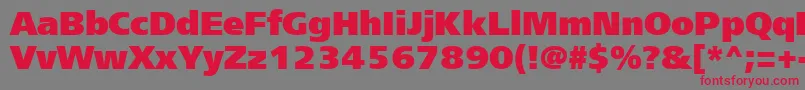 Freesetextractt Font – Red Fonts on Gray Background