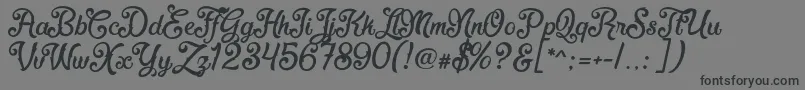 FadliScript Font – Black Fonts on Gray Background