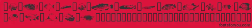 Czcionka FishyprintOneAoe – czarne czcionki na czerwonym tle