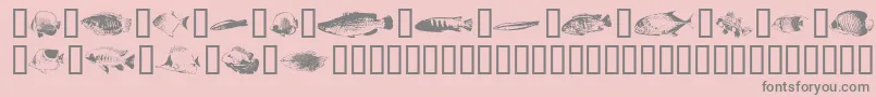 FishyprintOneAoe Font – Gray Fonts on Pink Background