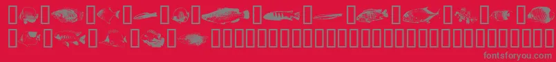 FishyprintOneAoe Font – Gray Fonts on Red Background