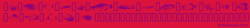 FishyprintOneAoe Font – Purple Fonts on Red Background