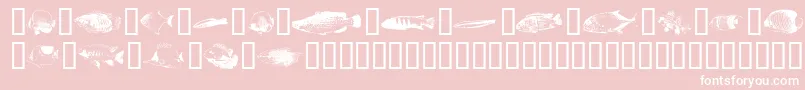 FishyprintOneAoe-Schriftart – Weiße Schriften auf rosa Hintergrund