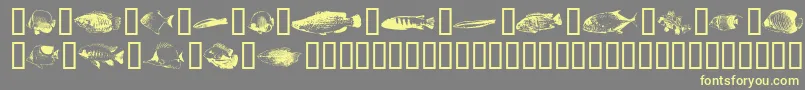 FishyprintOneAoe Font – Yellow Fonts on Gray Background