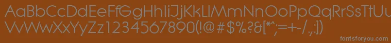 フォントLiteraserialRegular – 茶色の背景に灰色の文字