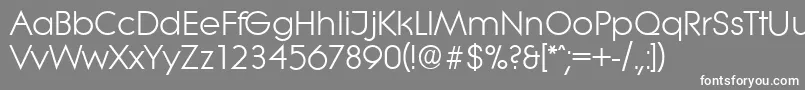 LiteraserialRegular Font – White Fonts on Gray Background