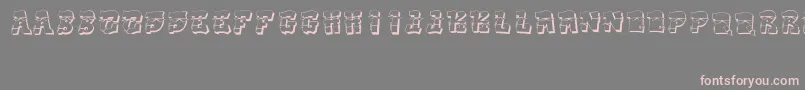 DakFont Font – Pink Fonts on Gray Background