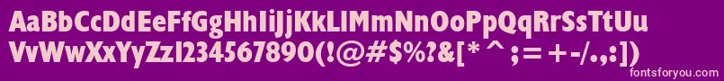 Humanist521ExtraBoldCondensedBt Font – Pink Fonts on Purple Background