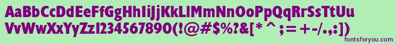 Humanist521ExtraBoldCondensedBt Font – Purple Fonts on Green Background