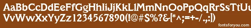フォントVeracruzBold – 茶色の背景に白い文字