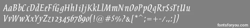 フォントBreezec – 灰色の背景に白い文字